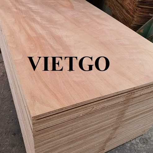 Cơ hội xuất khẩu gỗ dán sang thị trường Ấn Độ