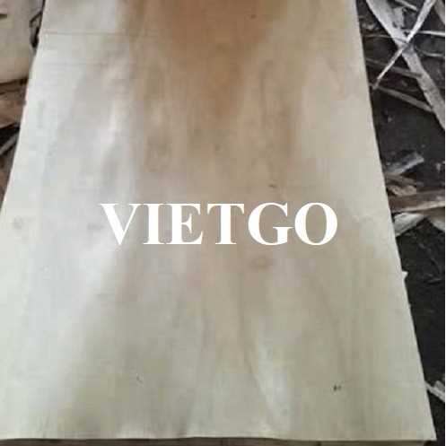 Thương vụ xuất khẩu sản phẩm ván bóc cao su sang thị trường Ấn Độ