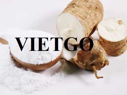 Cơ hội hợp tác xuất khẩu tinh bột sắn đến thị trường Trung Quốc 