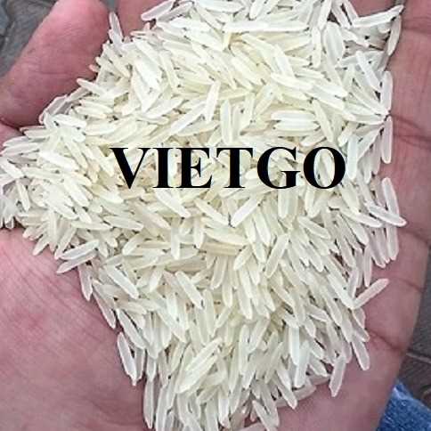Cơ hội xuất khẩu gạo Basmati 1211 cùng vị khách người Thổ Nhĩ Kỳ