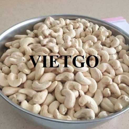 Cơ hội xuất khẩu hạt điều W240 cùng vị khách người Thổ Nhĩ Kỳ