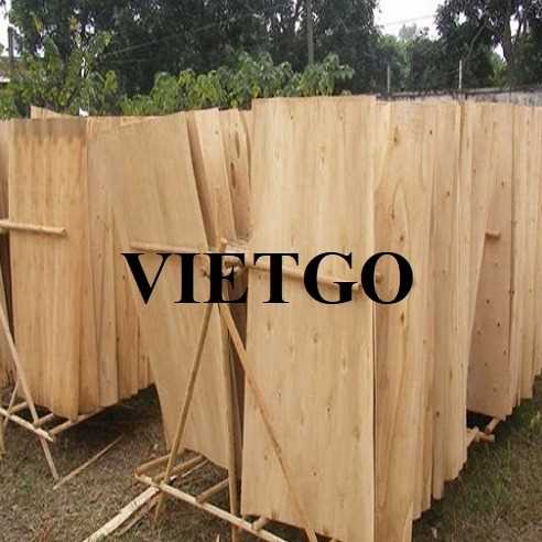 Thương vụ xuất khẩu sản phẩm ván bóc bạch đàn đến thị trường Ấn Độ