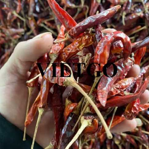 Cơ hội hợp tác xuất khẩu ớt đến thị trường Bangladesh  