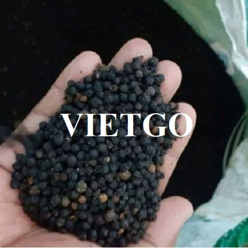 Cơ hội xuất khẩu hạt tiêu đen đến thị trường Ấn Độ