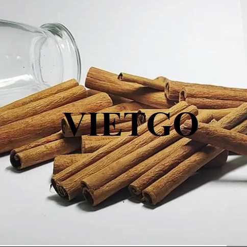 Cơ hội hợp tác xuất khẩu quế đến thị trường Bangladesh 