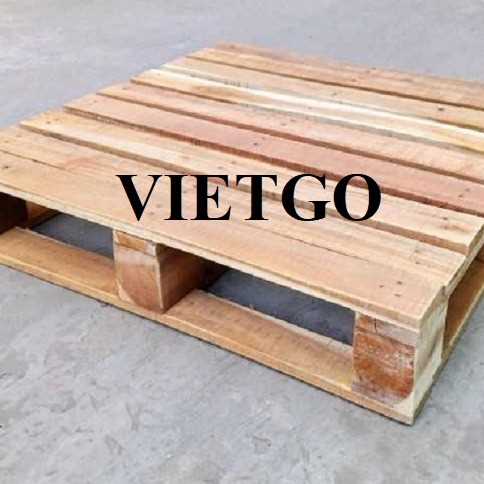 Cơ hội hợp tác xuất khẩu pallet tới thị trường Ecuador