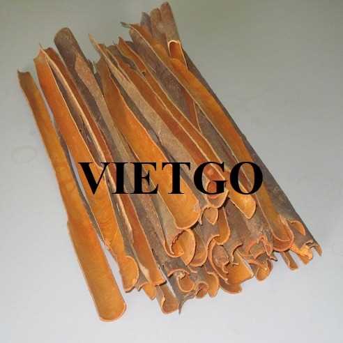 Cơ hội hợp tác xuất khẩu quế chẻ đến thị trường Bangladesh