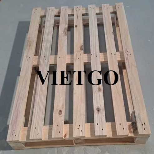 Thương vụ xuất khẩu pallet gỗ sang thị trường Hungary