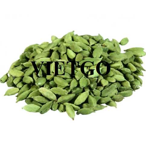 Cơ hội hợp tác xuất khẩu thảo quả đến thị trường Bỉ  