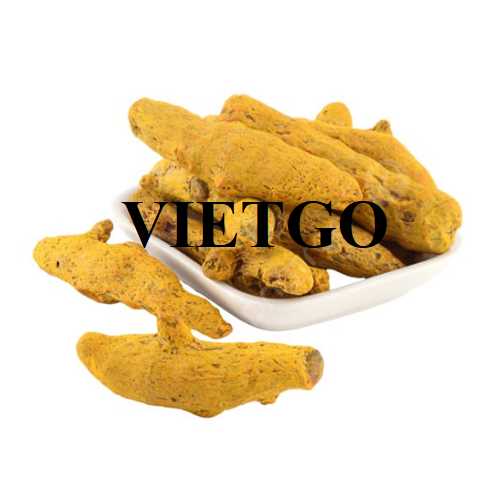 Cơ hội hợp tác xuất khẩu nghệ đến thị trường Bỉ và Đức 