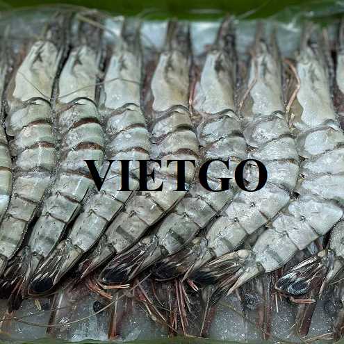 Cơ hội xuất khẩu tôm sang thị trường Nga