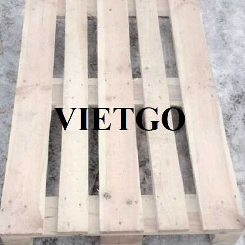Thương vụ xuất khẩu pallet gỗ sang thị trường Ba Lan