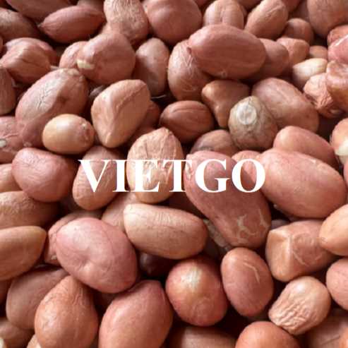 Cơ hội hợp tác xuất khẩu lạc đến thị trường UAE 