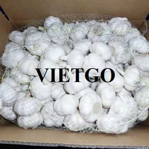 Cơ hội xuất khẩu tỏi sang thị trường Bangladesh