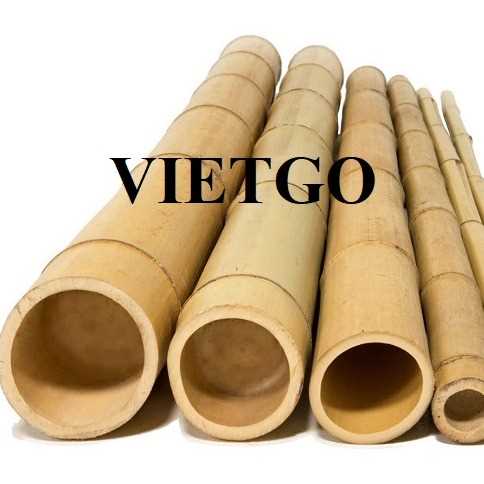 Cơ hội giao thương xuất khẩu gậy tre sang thị trường Hàn Quốc
