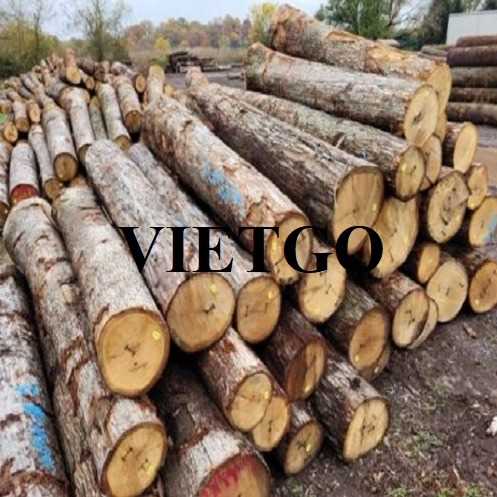 Thương vụ xuất khẩu gỗ bạch đàn tròn sang thị trường Ấn Độ