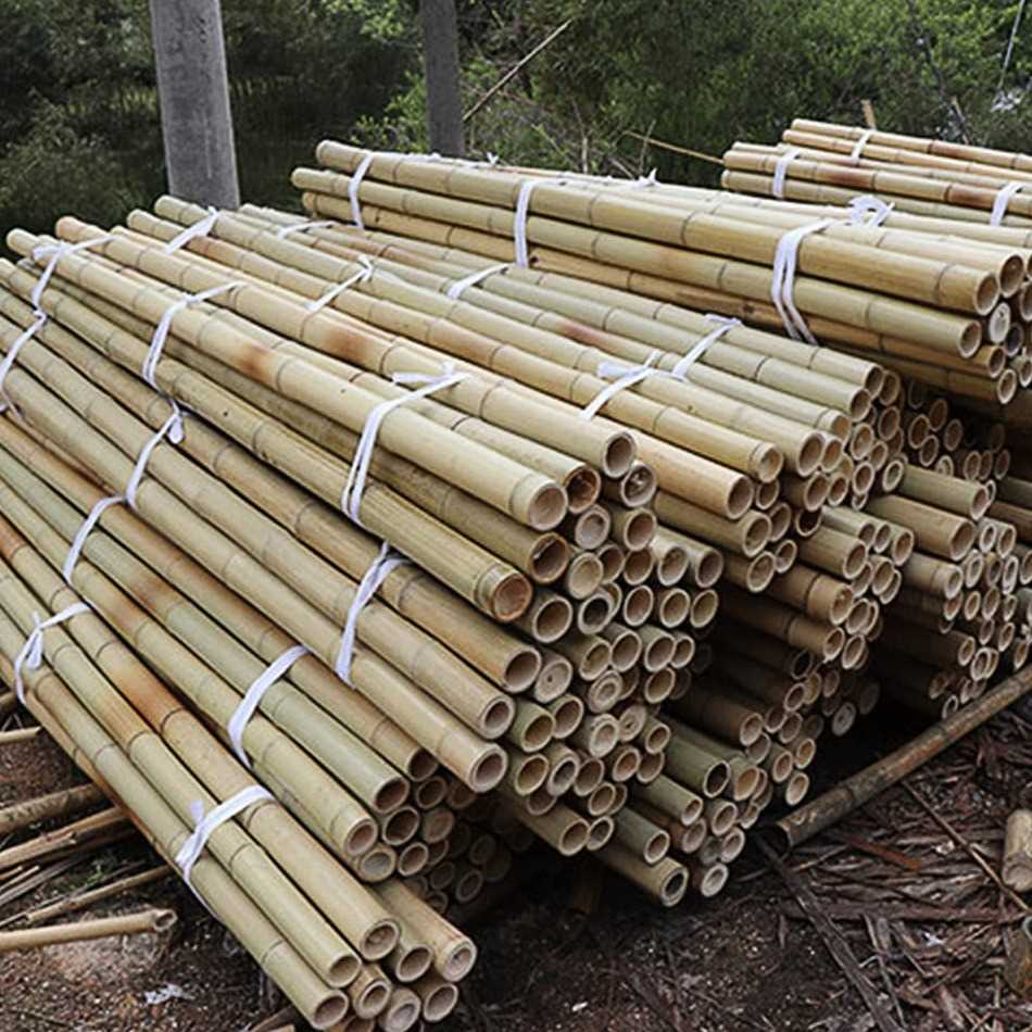 i need bamboo pole