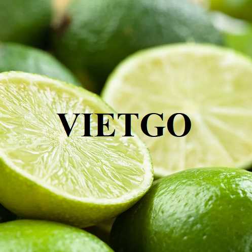Cơ hội hợp tác xuất khẩu chanh đến thị trường Oman 