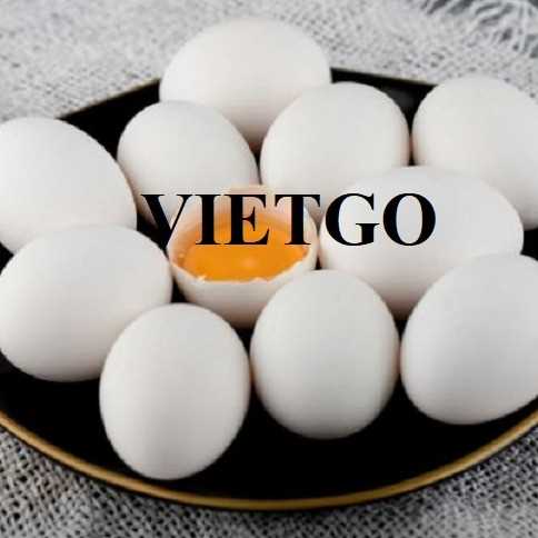Cơ hội xuất khẩu trứng trắng đến thị trường UAE