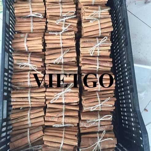 Thương vụ xuất khẩu quế cắt thanh và quế chẻ sang thị trường Mỹ và Ả - rập Xê-út