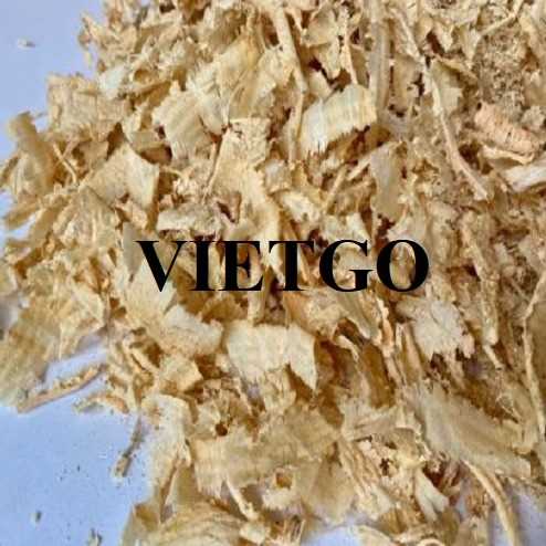 Cơ hội hợp tác xuất khẩu dăm bào đến thị trường Ả Rập