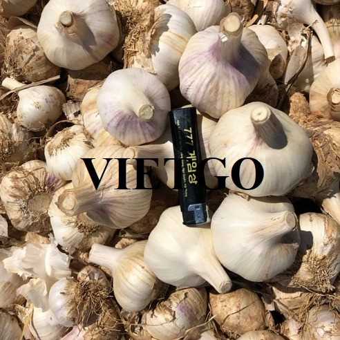 Cơ hội xuất khẩu tỏi trắng sang thị trường Indonesia