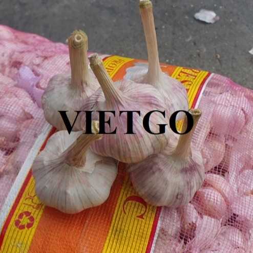Cơ hội xuất khẩu tỏi sang thị trường Afghanistan