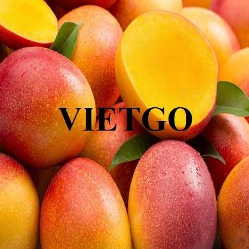 Thương vụ hợp tác xuất khẩu xoài sang thị trường UAE