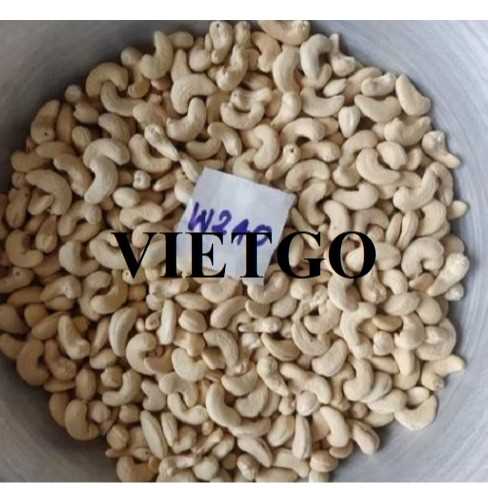 Cơ hội xuất khẩu hạt điều W240 cùng vị khách người Thổ Nhĩ Kỳ