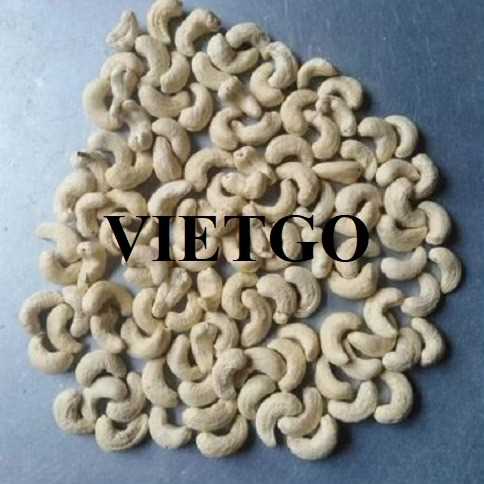 Cơ hội xuất khẩu hạt điều W320 và W280 đến thị trường Ấn Độ