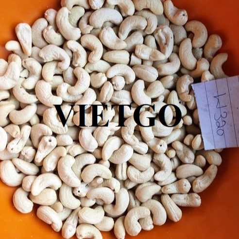Cơ hội hợp tác xuất khẩu hạt điều đến thị trường Ấn Độ 