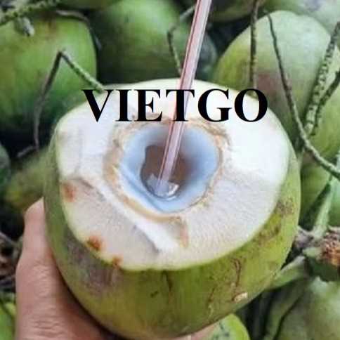 Cơ hội xuất khẩu dừa tươi sang Ý