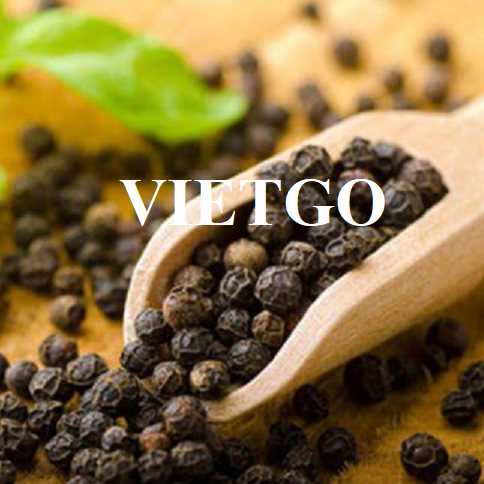 Cơ hội hợp tác xuất khẩu hạt tiêu đến thị trường Ai Cập