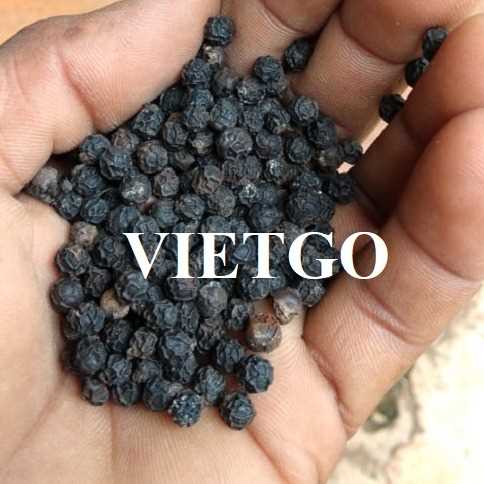 Cơ hội xuất khẩu hạt tiêu đen sang Bangladesh và Thổ Nhĩ Kỳ