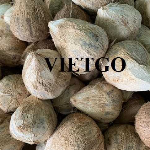 Cơ hội hợp tác xuất khẩu dừa khô lột vỏ đến thị trường Malaysia