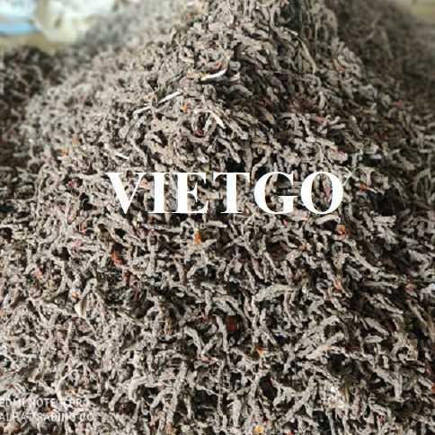 Cơ hội xuất khẩu nghệ khô sang thị trường Ấn Độ