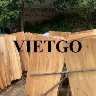 Thương vụ xuất khẩu sản phẩm ván bóc bạch đàn đến thị trường Ấn Độ