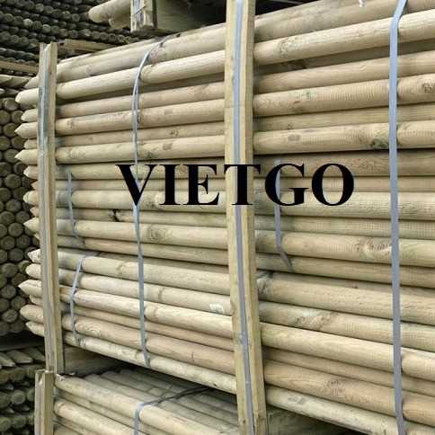 Cơ hội giao thương xuất khẩu cọc gỗ sang thị trường Ấn Độ