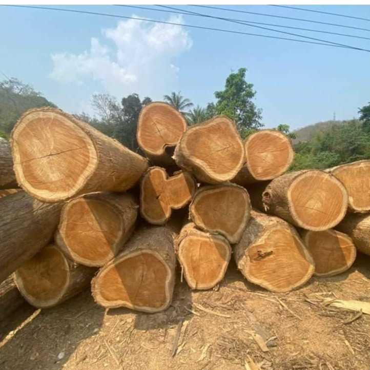 I need Teak wood logs