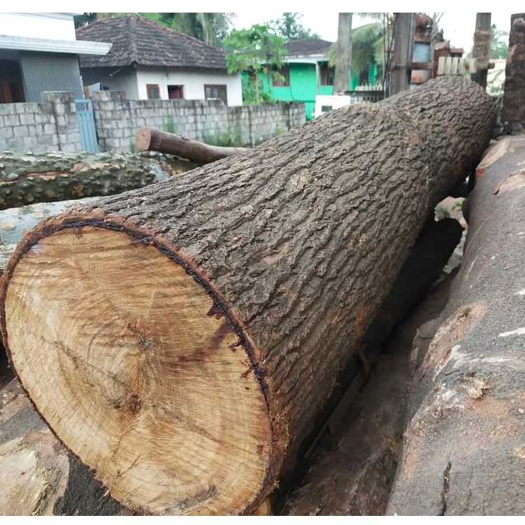I need Mango wood logs