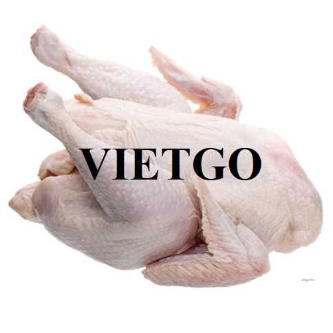 Cơ hội xuất khẩu thịt gà đông lạnh sang Ả Rập Saudi