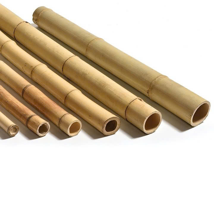 Cần tìm nhà cung cấp sản phẩm gậy tre sang Hàn Quốc
