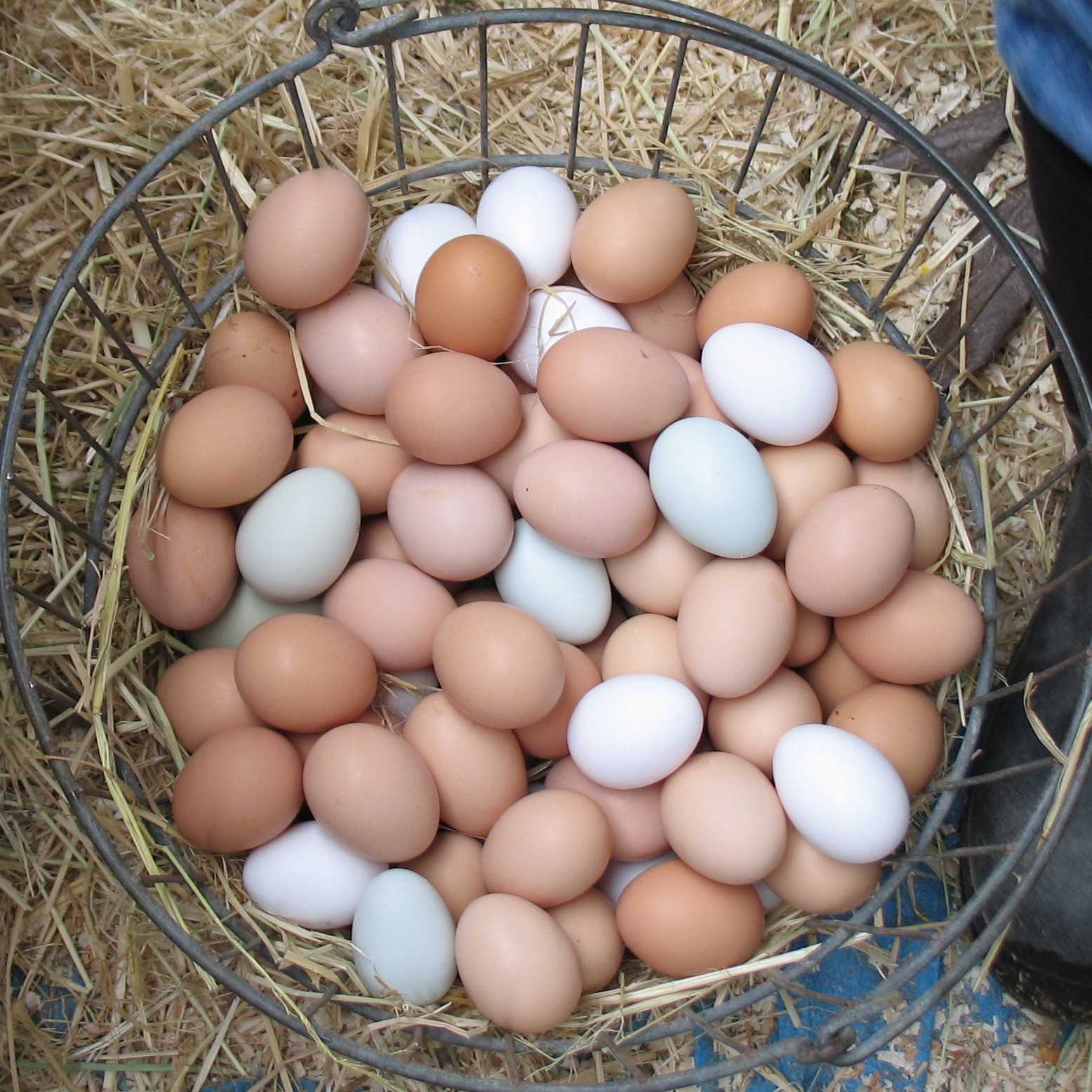 I want to buy Eggs