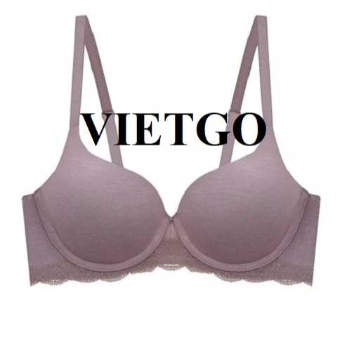 Cơ hội xuất khẩu đồ nội y sang thị trường Hoa Kỳ