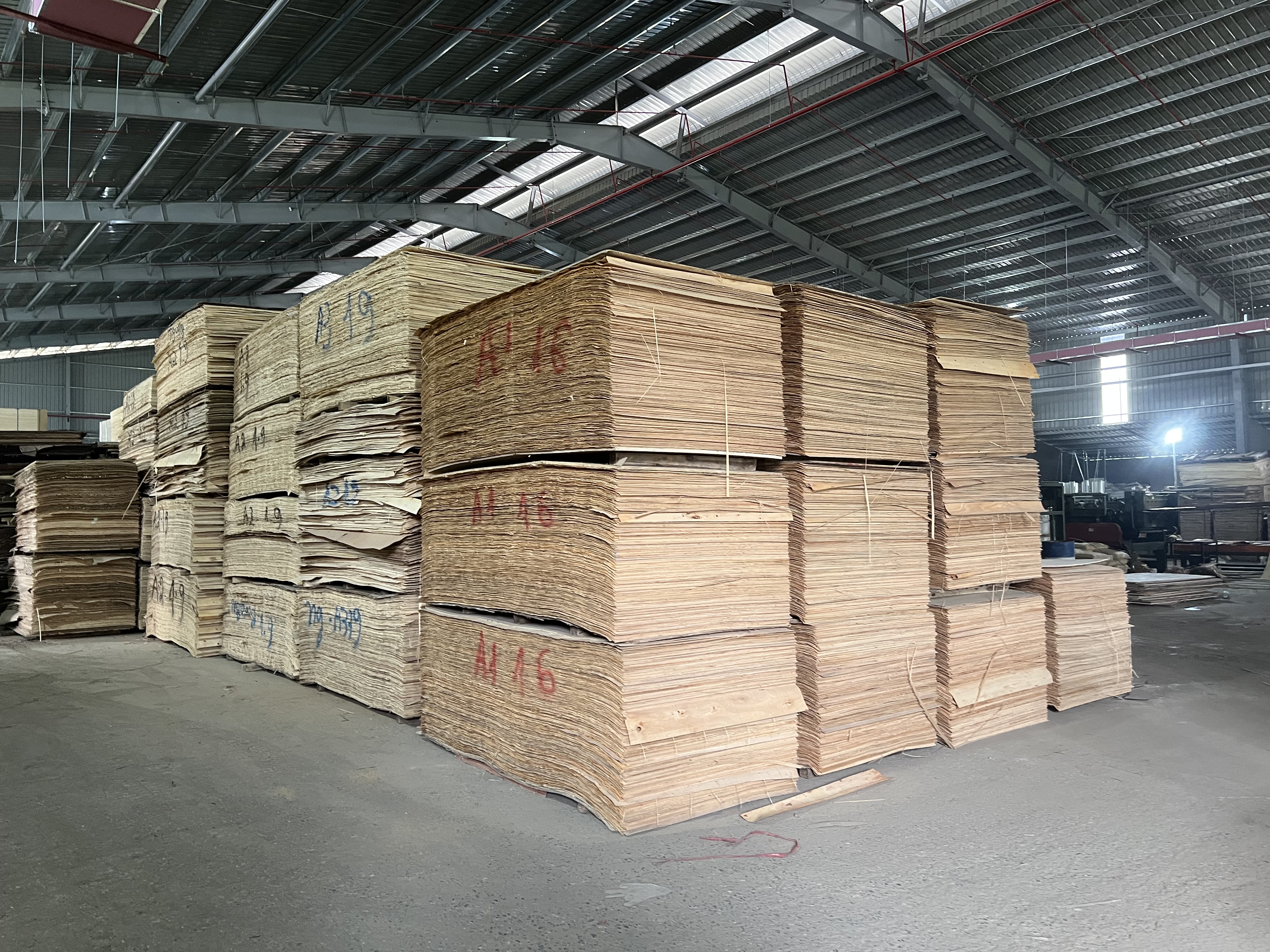 Cần tìm đơn vị vận tải vận chuyển hàng gỗ dán đi Ấn Độ