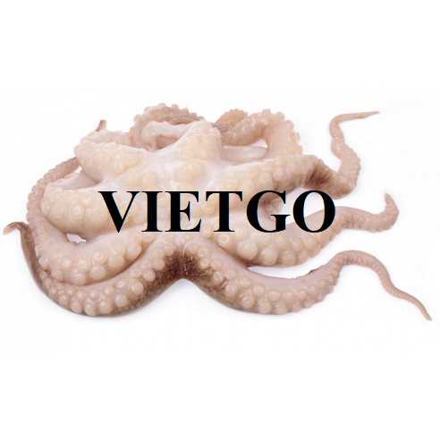 Cơ hội xuất khẩu bạch tuộc sang thị trường Mỹ