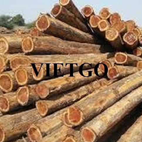 Thương vụ xuất khẩu gỗ teak tròn sang thị trường Ấn Độ 