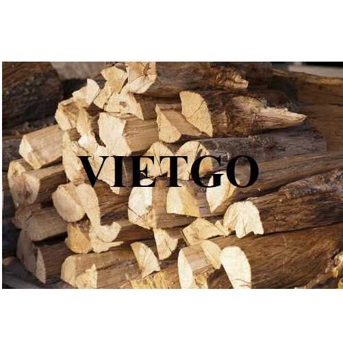 Thương vụ xuất khẩu củi gỗ sang thị trường Ấn Độ