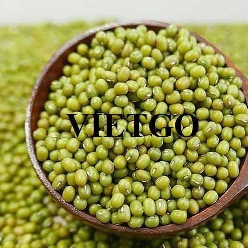 Thương vụ xuất khẩu đậu xanh sang thị trường Hàn Quốc