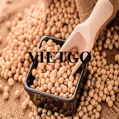 Cơ hội xuất khẩu đậu nành sang thị trường Oman